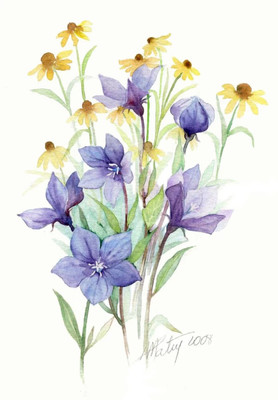 色彩水彩与网络技术 清新雅致的手绘插画在数字时代的研究与应用