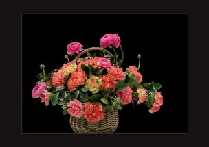 中山公园迎春花卉网络技术的研究与应用